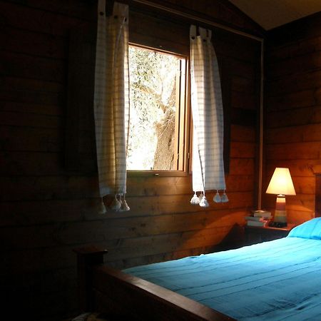 Riviera Degli Eucalipti - Cottage In Riva Al Mare Acireale Ngoại thất bức ảnh