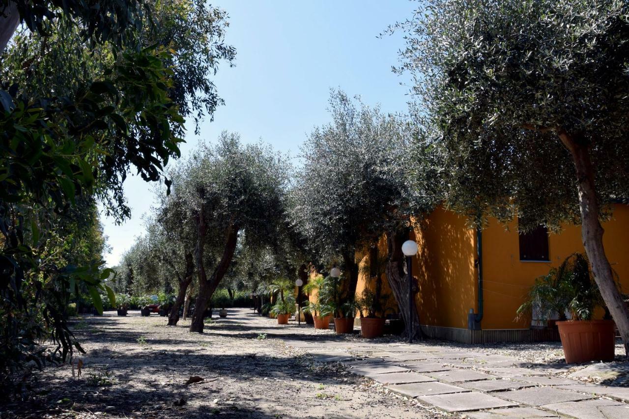 Riviera Degli Eucalipti - Cottage In Riva Al Mare Acireale Ngoại thất bức ảnh