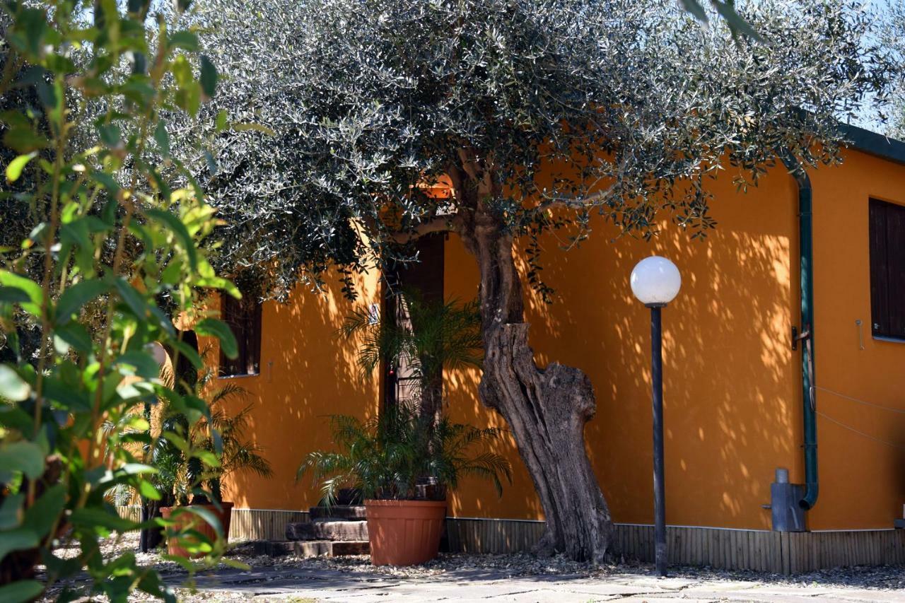 Riviera Degli Eucalipti - Cottage In Riva Al Mare Acireale Ngoại thất bức ảnh
