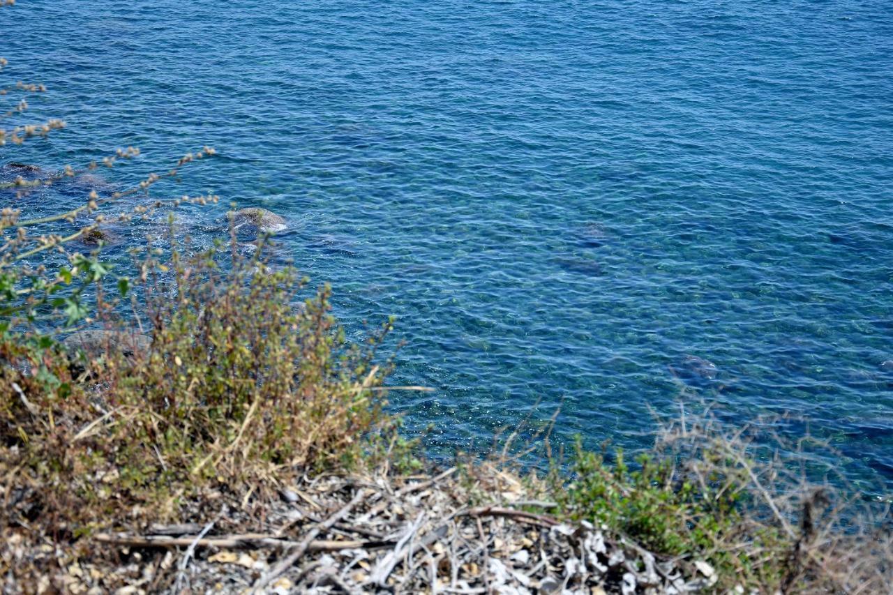Riviera Degli Eucalipti - Cottage In Riva Al Mare Acireale Ngoại thất bức ảnh